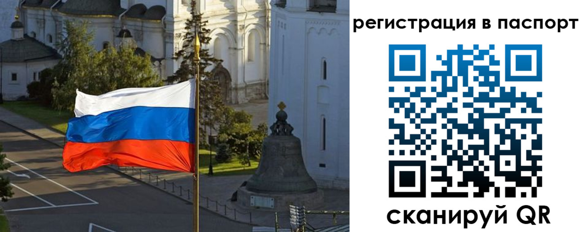 где прописаться в Владимирской области